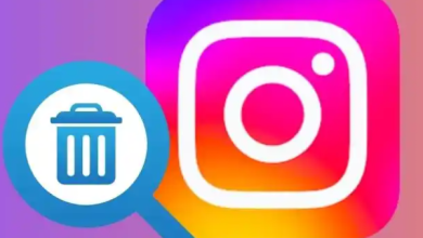 Image Search Instagram