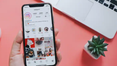 Instagram Search Picuki