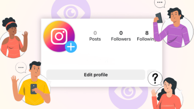 Instagram Profile Viewers