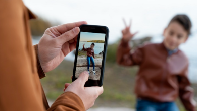 Picuki Instagram Stories