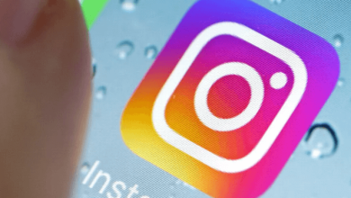 Discover the secret behind the Instagram sensation with Picuki