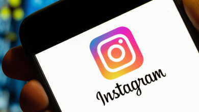 Discover the secrets of Pikdo and unlock a world of Instagram insights.