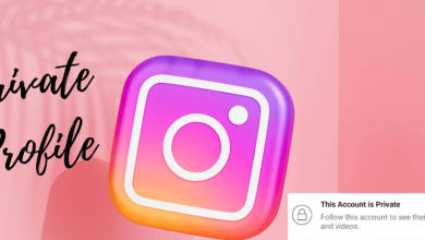 Download Private Instagram