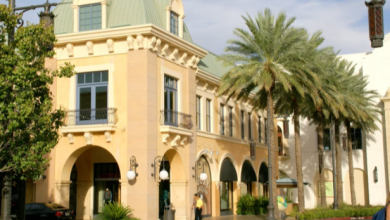 Unleash the Exceptional: 6 Must-Visit Online Shopping Destinations in the USA