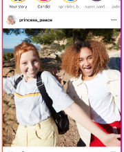 Insta Stories Viewer