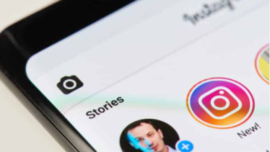 Instageam Story Viewer