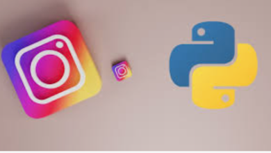 Instagram Story Viewe