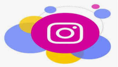 Instagram Story Viewee