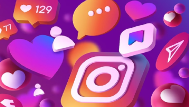 Instagram Story Viewrr