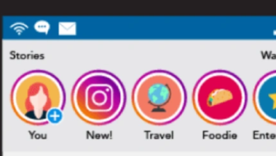 Instagram Story Virwer