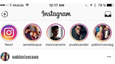 Instagram Viewer Story