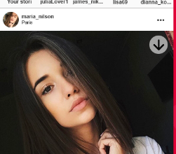 Public Instagram Story Viewer