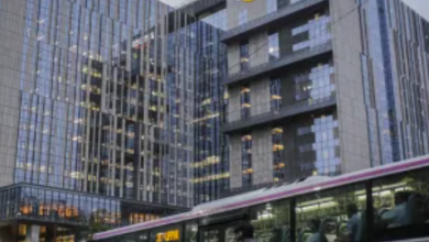 India Itsinghtechcrunch