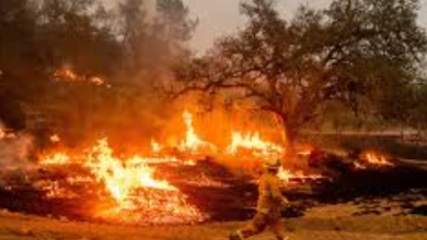 Alerta De Bandera Roja (Clima Propicio Para Incendios)
