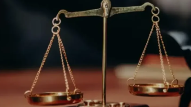 It Is Not Wisdom but Authority That Makes a Law. T - Tymoff