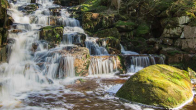 Sankt Andreasberg Wasserfall