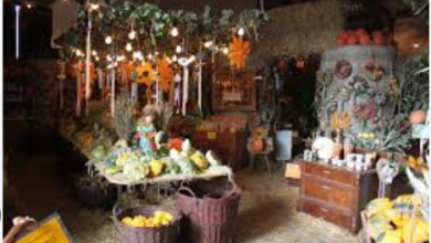 Kürbisscheune Hagenburg