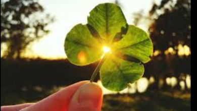 Glück Spruch Des Tages