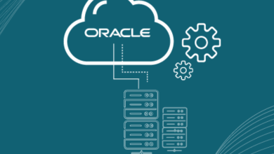 Navigating the New Features and Updates Made with Oracle Financials 24A Release