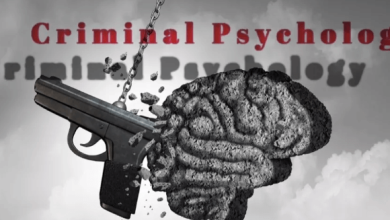 Psychological Layers of Criminal Behavior