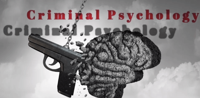 Psychological Layers of Criminal Behavior