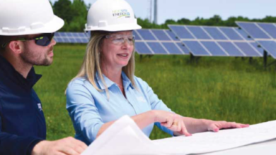 Discover the power of Pickdo