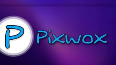 Discover the latest trends in Piceox