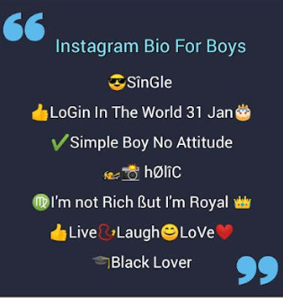 Instagram Bio for Boys Stylish