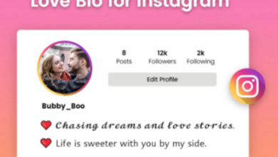 Bio for Instagram for Girl in Stylish Font