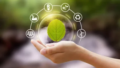 5 Financial Benefits of Introducing Sustainability in Your Business