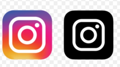 Insta Bio Girls Attitude