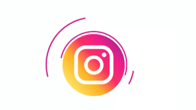 Instagram Bio in Punjabi Attitude