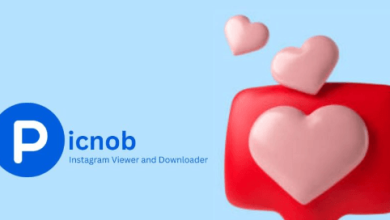 Picnob Instagram Viewer