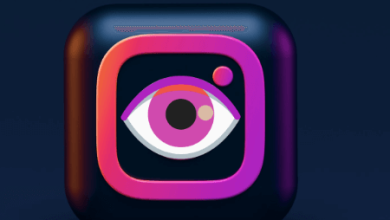 Instagram Story Viewer Anonymous Reddit