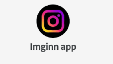 Imginn App