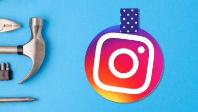 Instagram Bio for Boys Punjabi