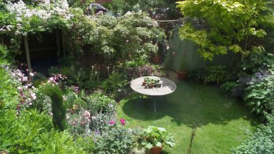 yard