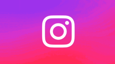 Best Bio for Instagram for Girls