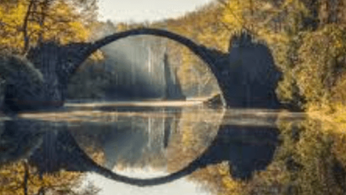 Photography:Oyzm8o0wdms= Nature