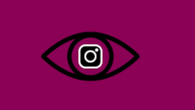 Insta Stalker