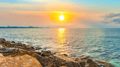 Beautiful:Cvsjbzozspa= Good Morning