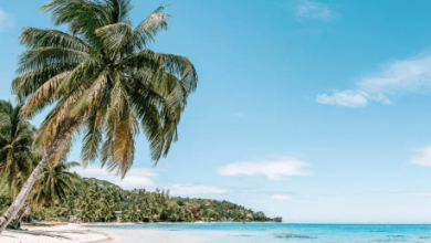 Beautiful:1lsfxpy_Qdg= Beach