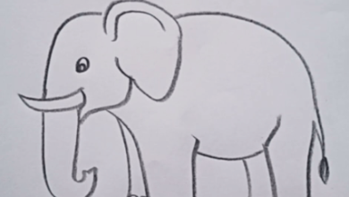 Drawing:K4ihdmzbtqg= Elephant