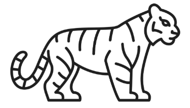 Drawing:Xms2zhd83gq= Tiger