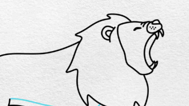 Drawing:Xehczmvwh9c= Lion