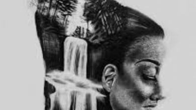 Creative:Bw8dqizhyro= Drawings