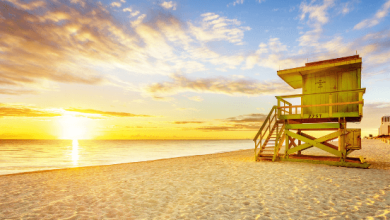 Beach:Dj4lbuubcwe= Summer