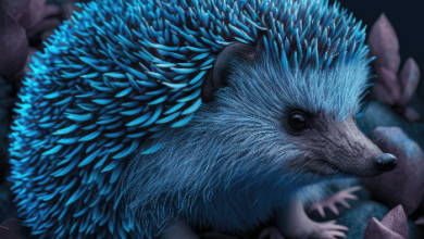 Blue:Flxgzp9tghk= Hedgehog