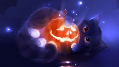 Cute:Exodha1rwac= Halloween Pictures