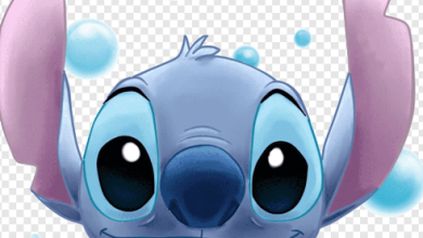 Drawing:7lsw2zlcm4y= Stitch